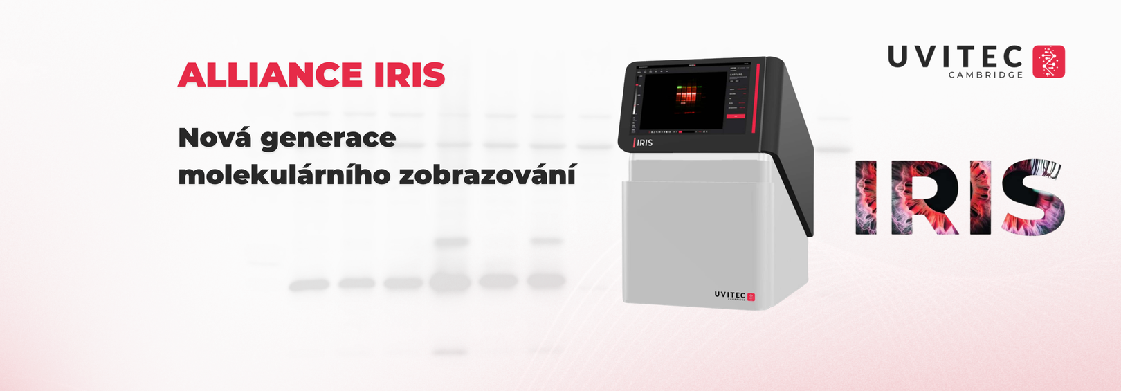 ;Allince IRIS od Uvitecu