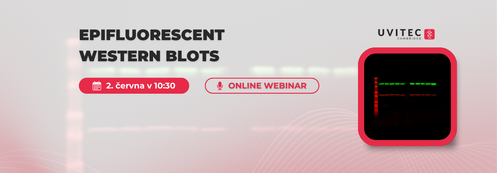 ;Webinář: Epifluorescenční Western blotting