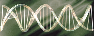 Rychlokurz epigenetiky – 1. část