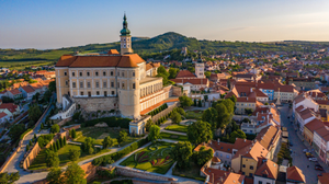  Konference Stem Cell Mikulov: 8. - 9. 6. 2023