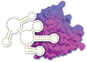 Selekce a vývoj aptamerů