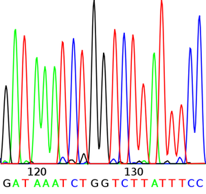 Analýza genové exprese: RNA-Seq nebo kvantitativní PCR?