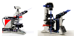 Úvod do světelné mikroskopie se širokým zorným polem